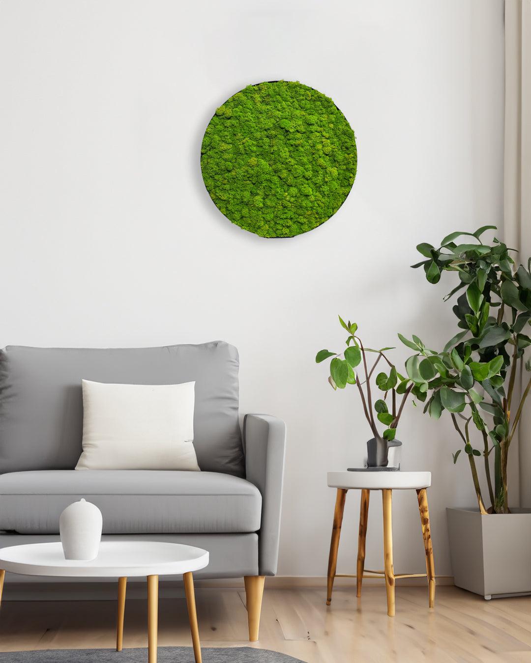 Green Circle: Reindeermoss