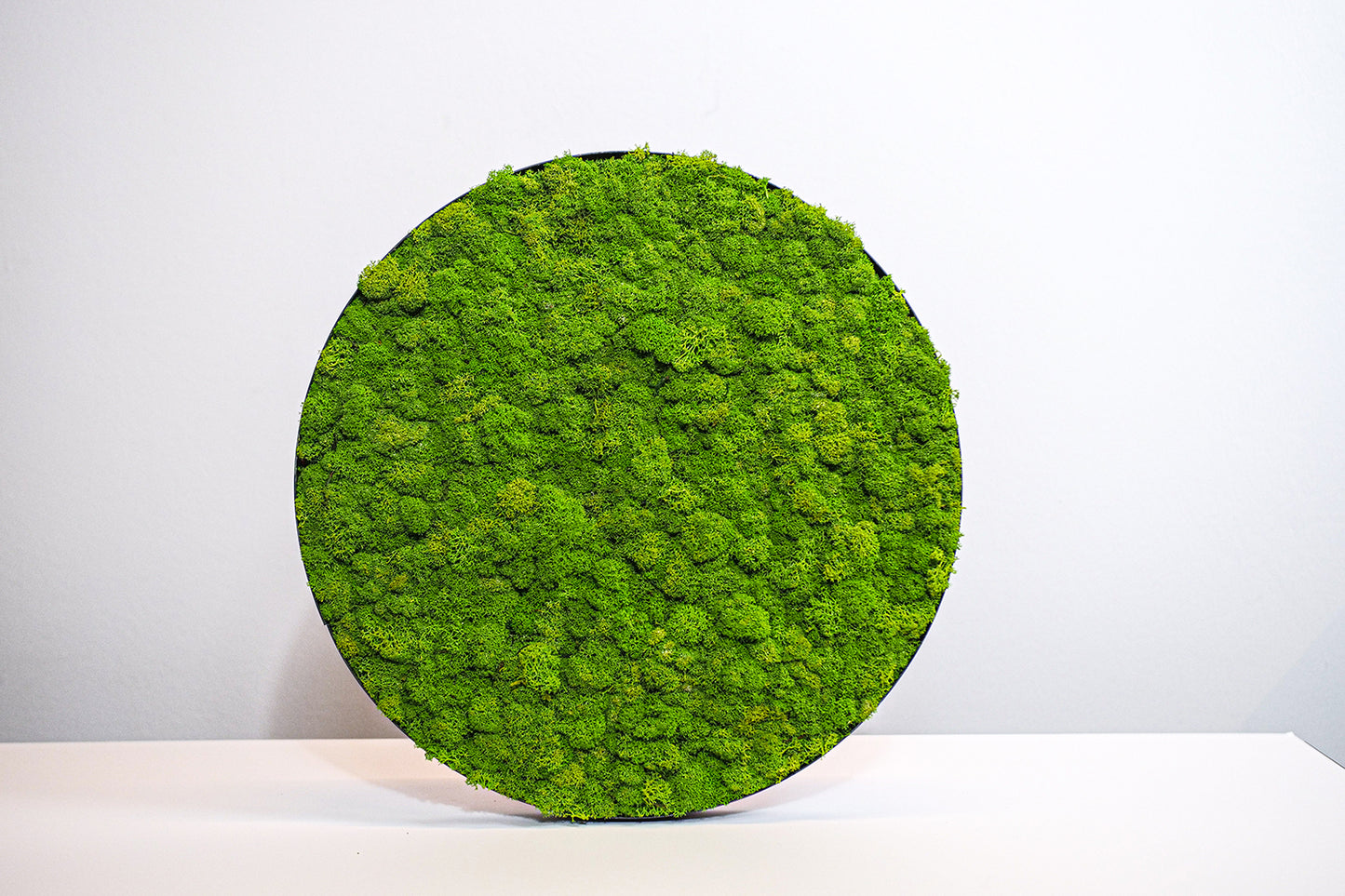 Green Circle: Reindeermoss