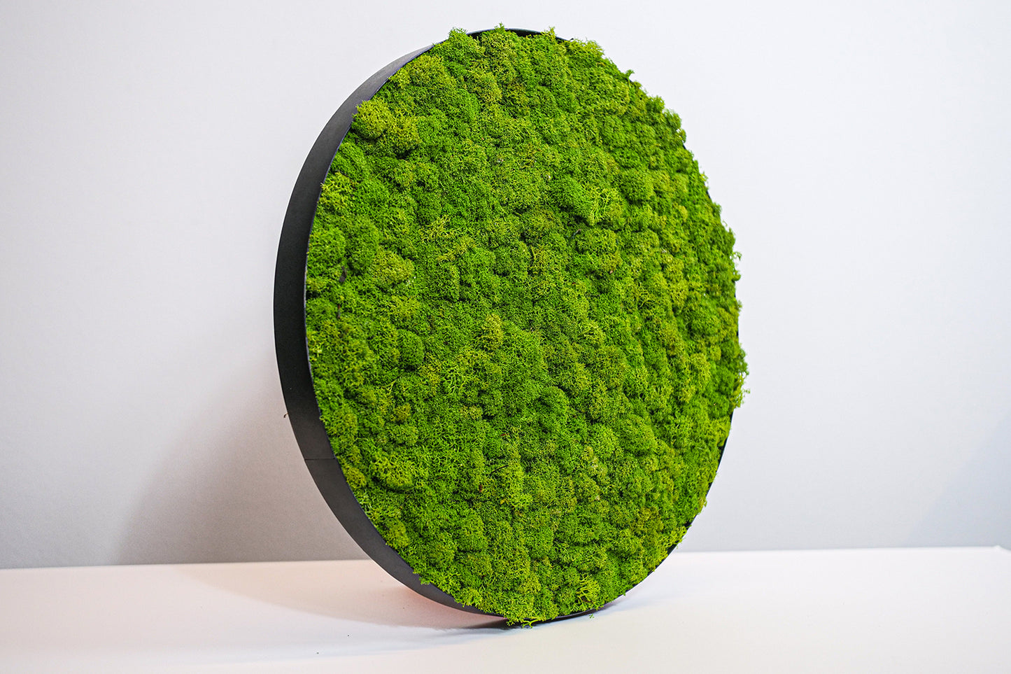 Green Circle: Reindeermoss