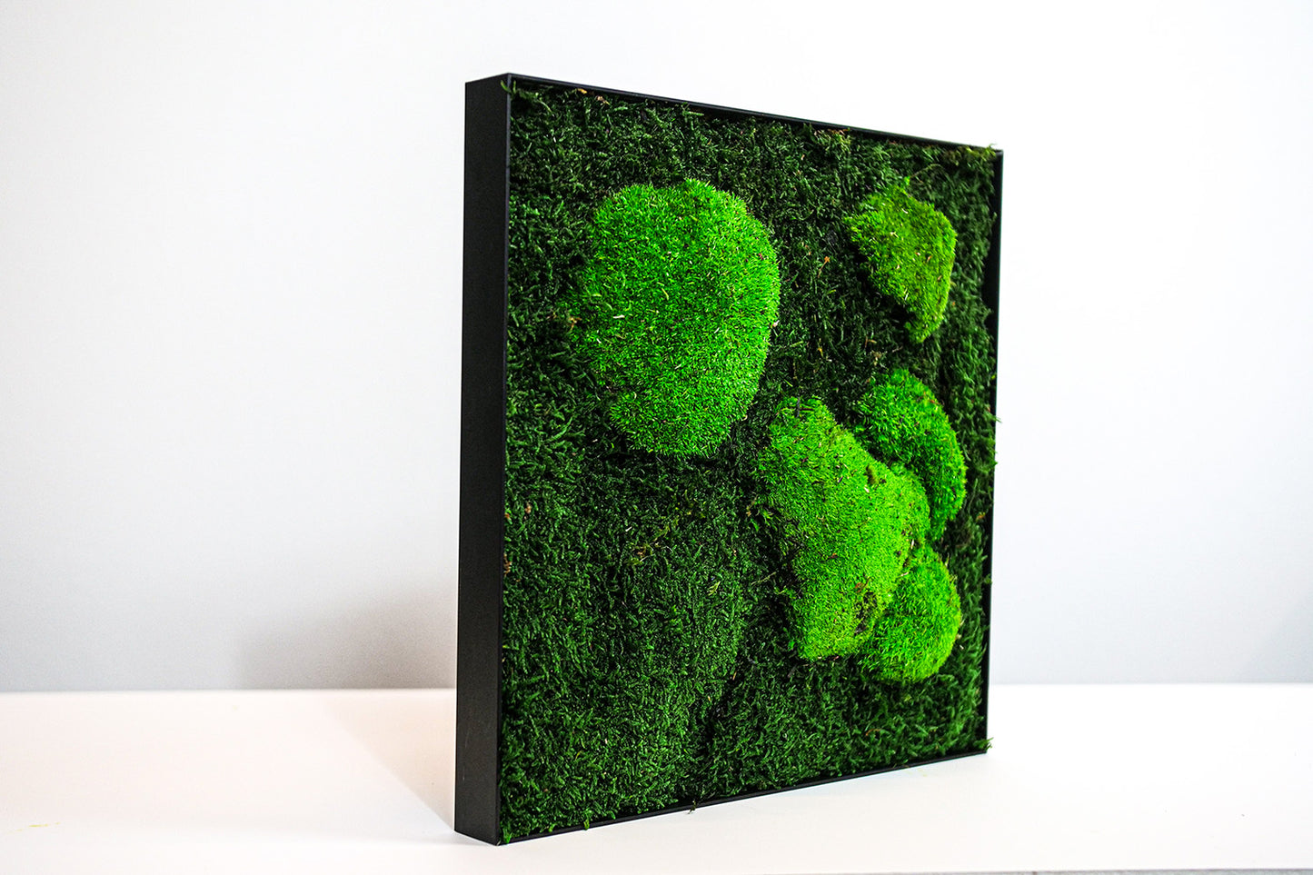 Quadro stabilizzato: Flat & Pole