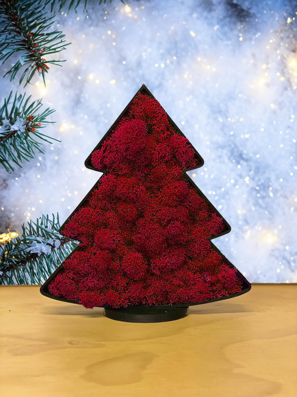 Albero
