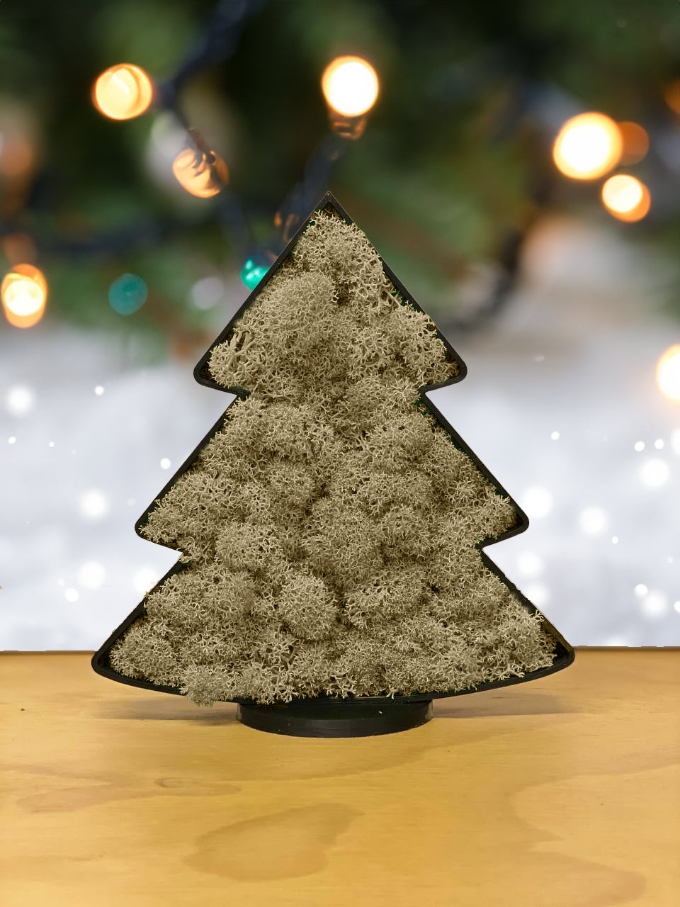 Albero