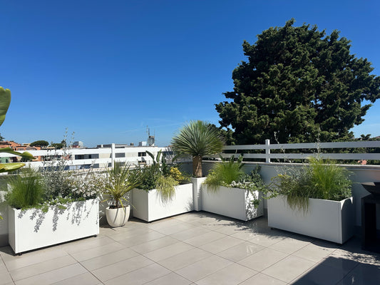 Terrazza Zaccaro