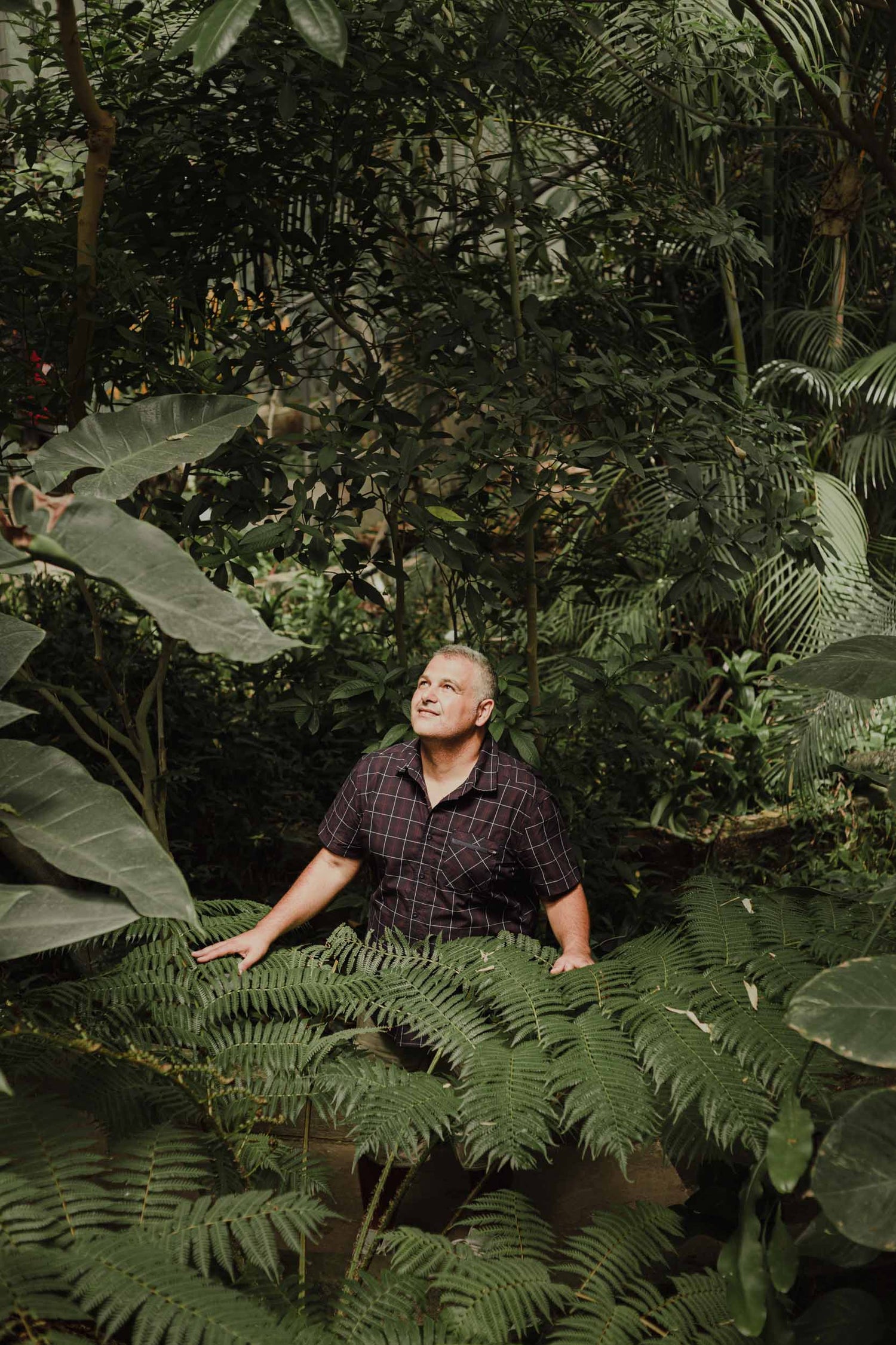 Andrea Molinaro progettista giardini AbitoVerde immerso in felci tropicali rigogliose