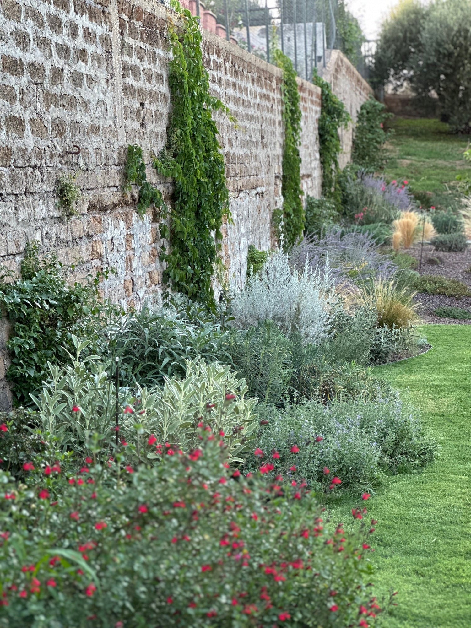 Giardino con muro in mattoni, rampicanti e cespugli verdi alla base