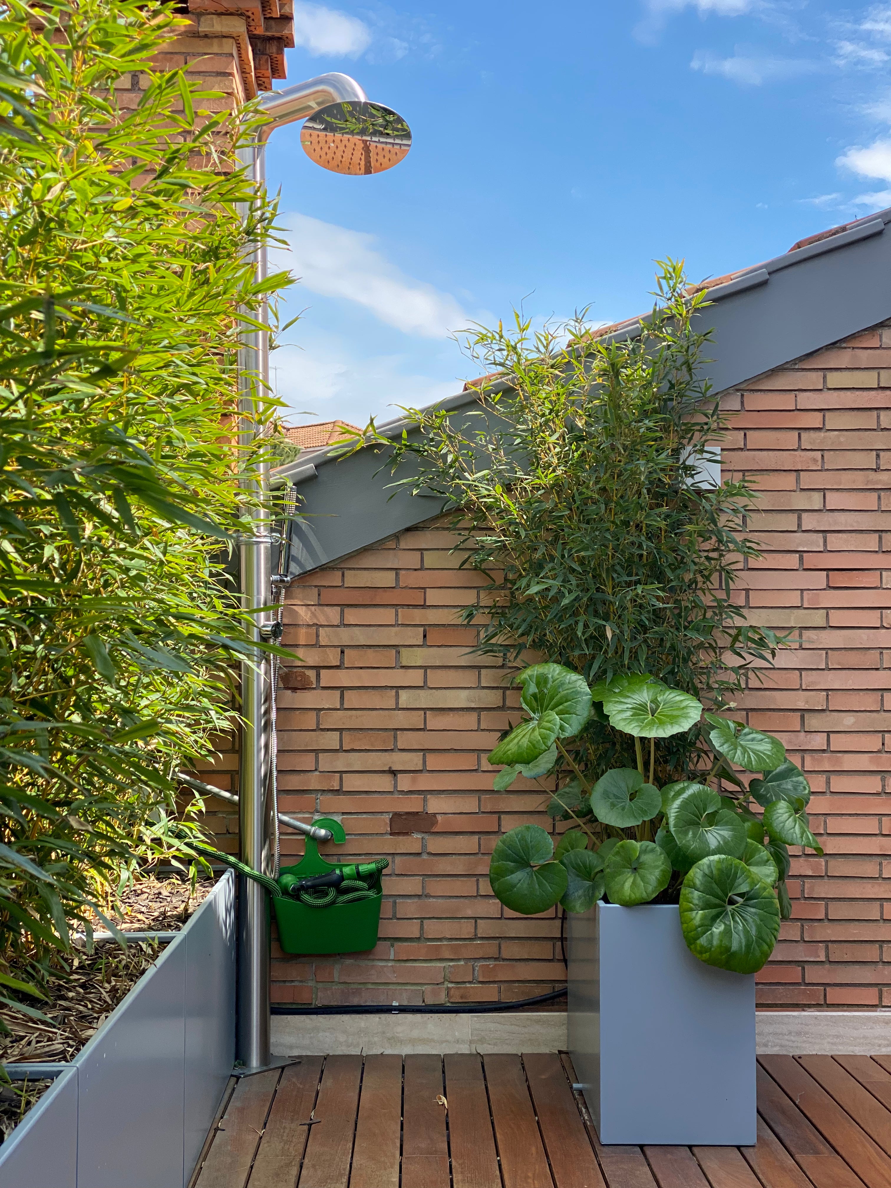 Giardino verticale con bambù, alocasia in vaso grigio e annaffiatoio contro muro mattone, AbitoVerde