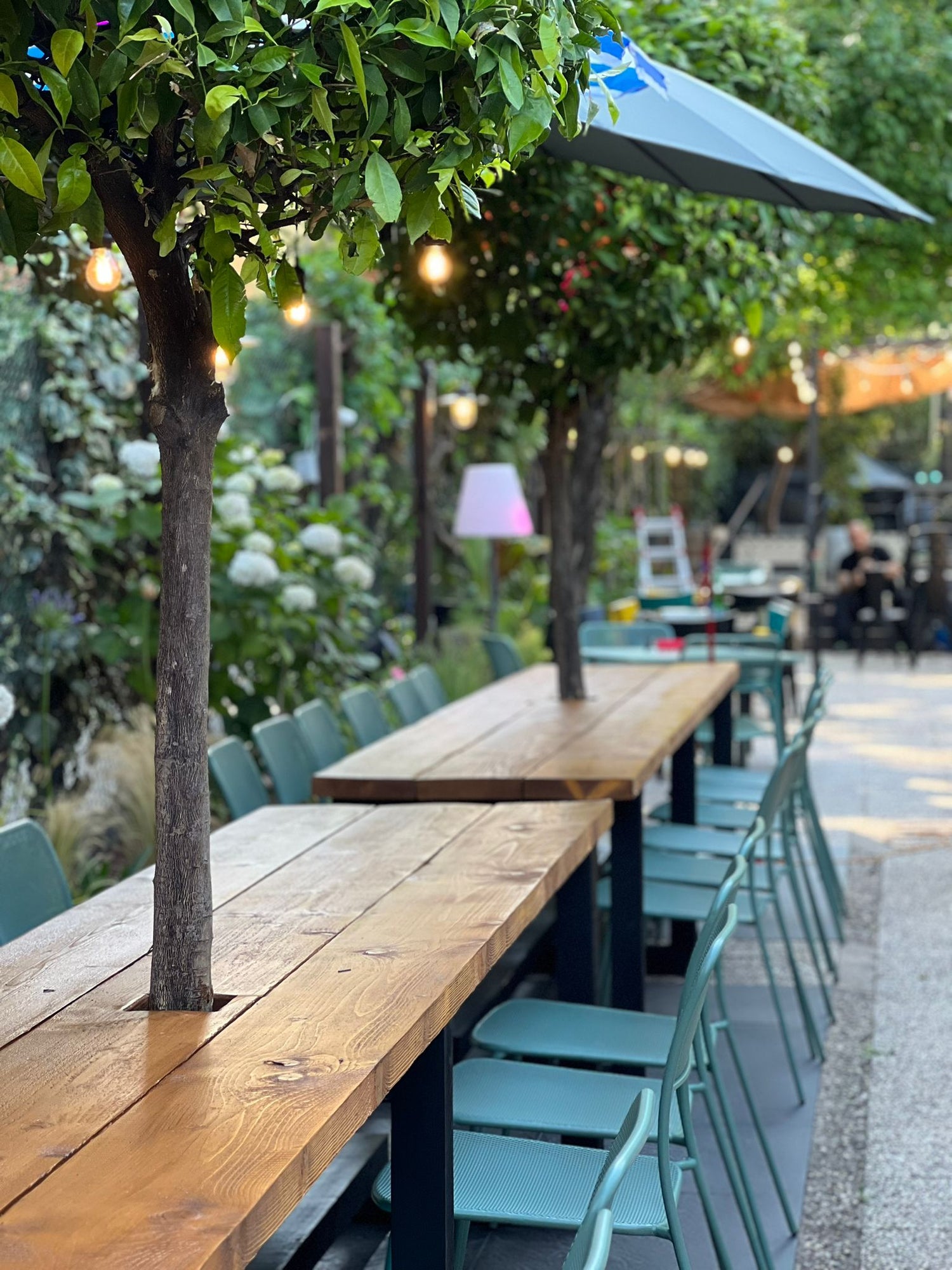 Terrazzo garden con alberi illuminati, tavoli legno sedie verdi e ombrellone, design outdoor AbitoVerde