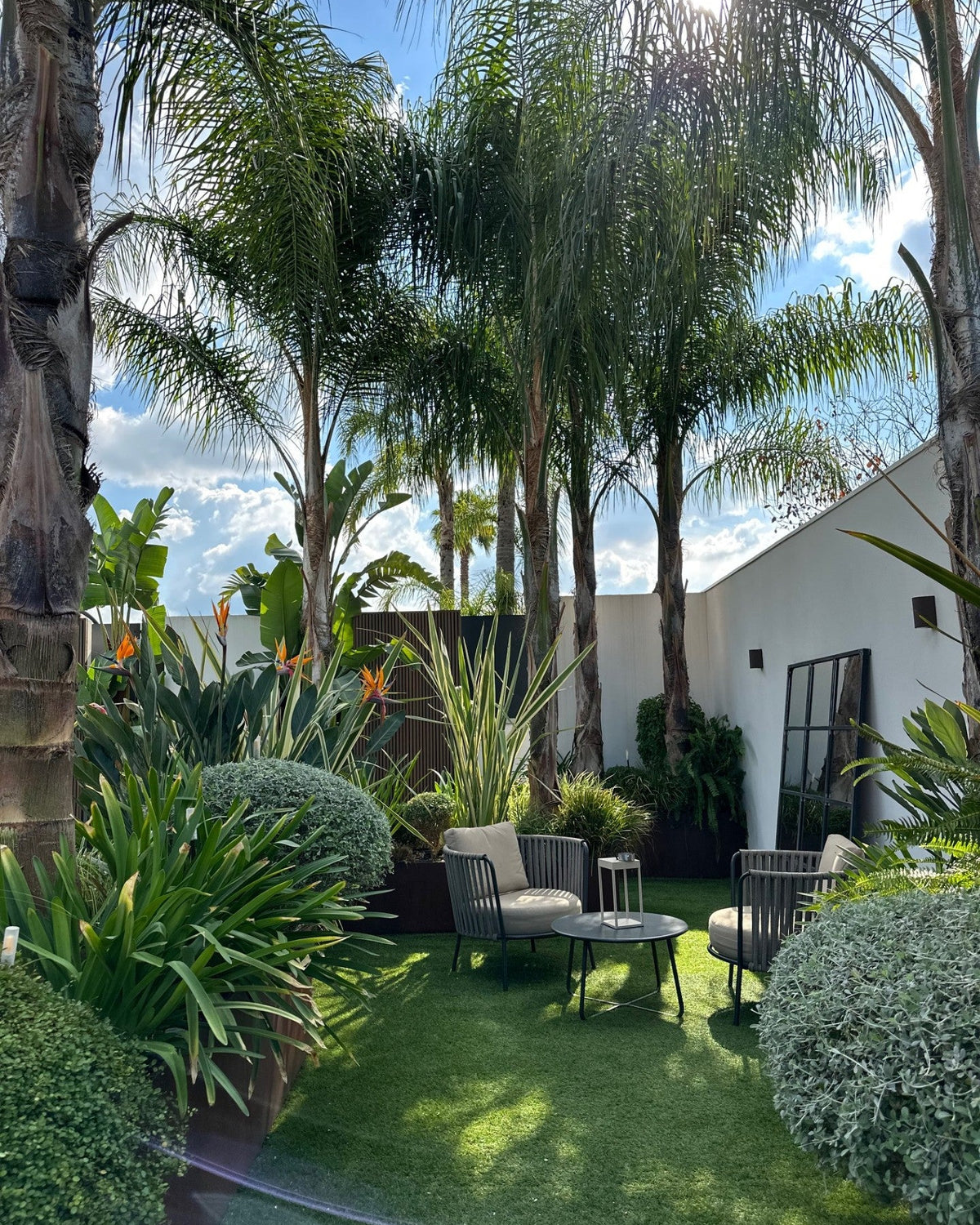 Giardino tropicale con palme giovani prato e casa bianca, AbitoVerde