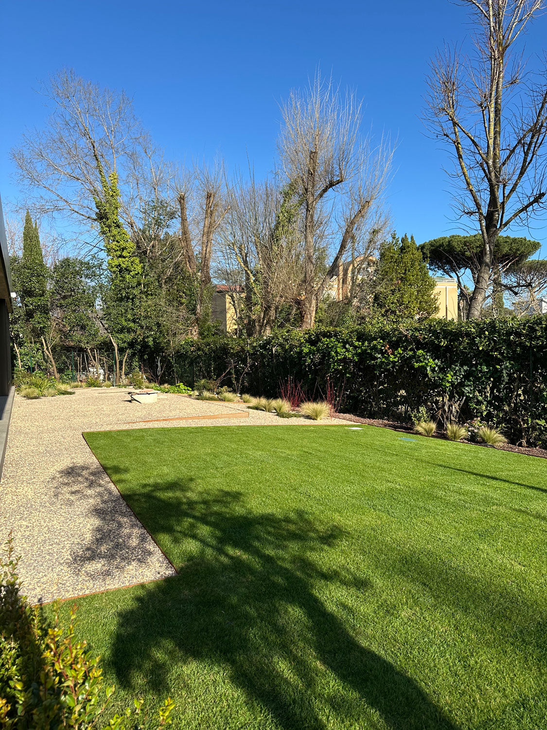 Prato con area ghiaia e bordi corten, siepe perimetrale e alberature, giardino AbitoVerde
