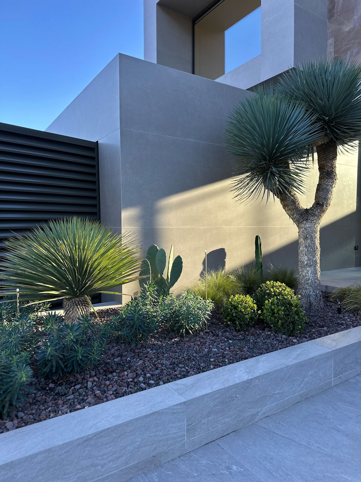 Aiuola mediterranea con yucca, cactus e arbusti su lapillo, giardino moderno AbitoVerde