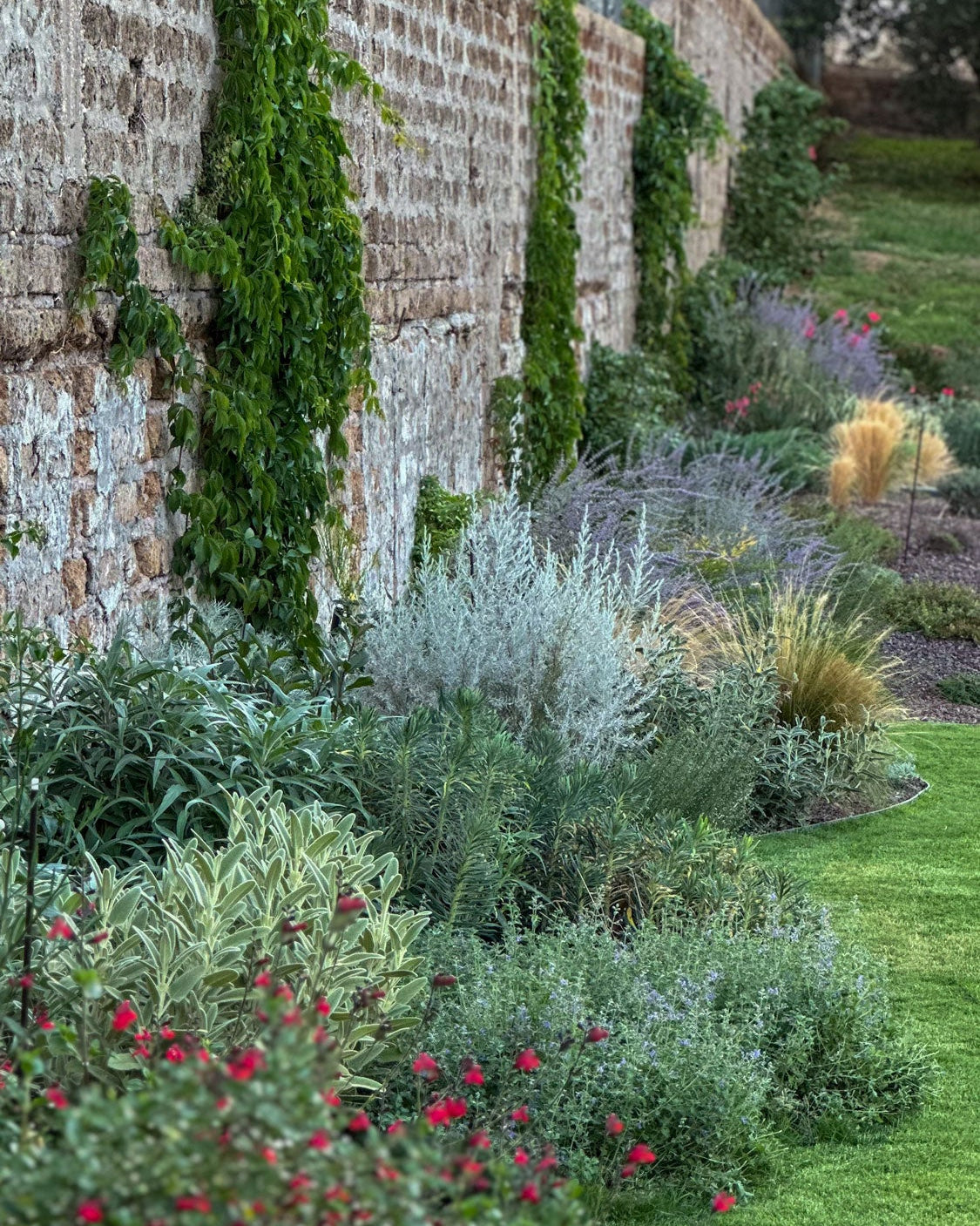 Bordura con graminacee e fioriture rosse lungo muretto in pietra AbitoVerde