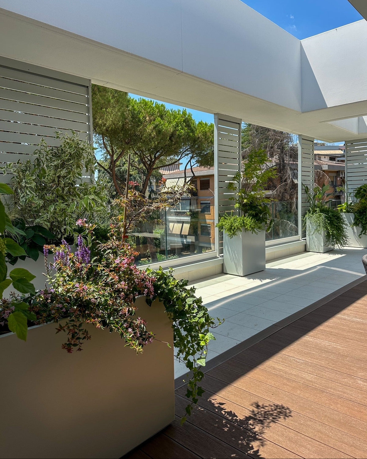 Composizione floreale con piante verdi e fiori colorati riflessi in vetrata esterna, design AbitoVerde