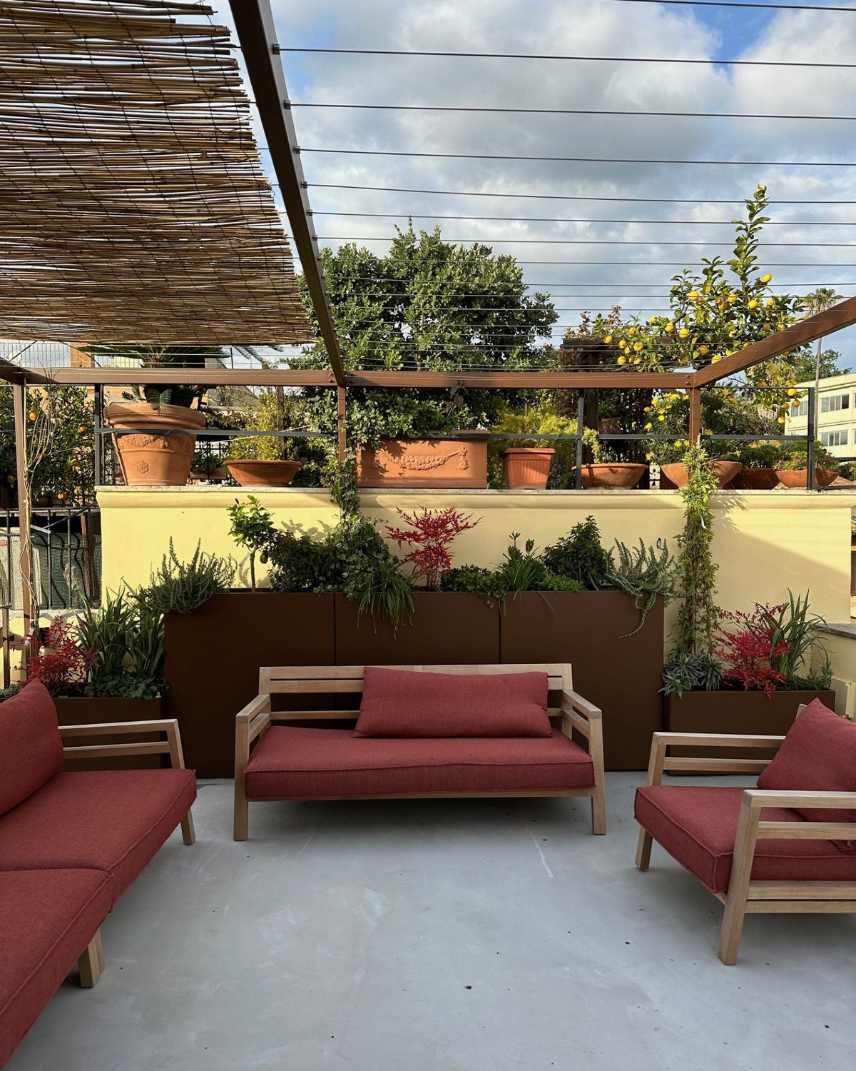 Pergola terrazza Boschetto con palma in vaso, divani relax rossi e piante mediterranee AbitoVerde