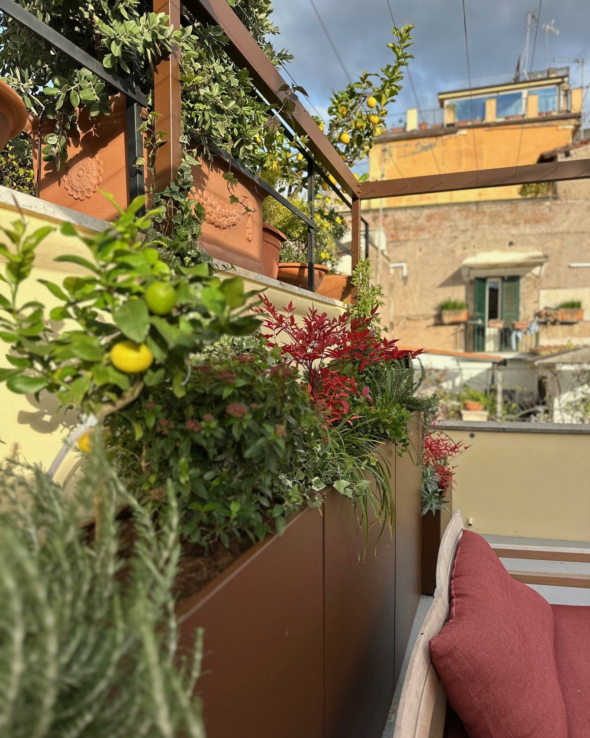 Vista panoramica terrazza Boschetto con skyline Roma, pergola e piante sui bordi, AbitoVerde