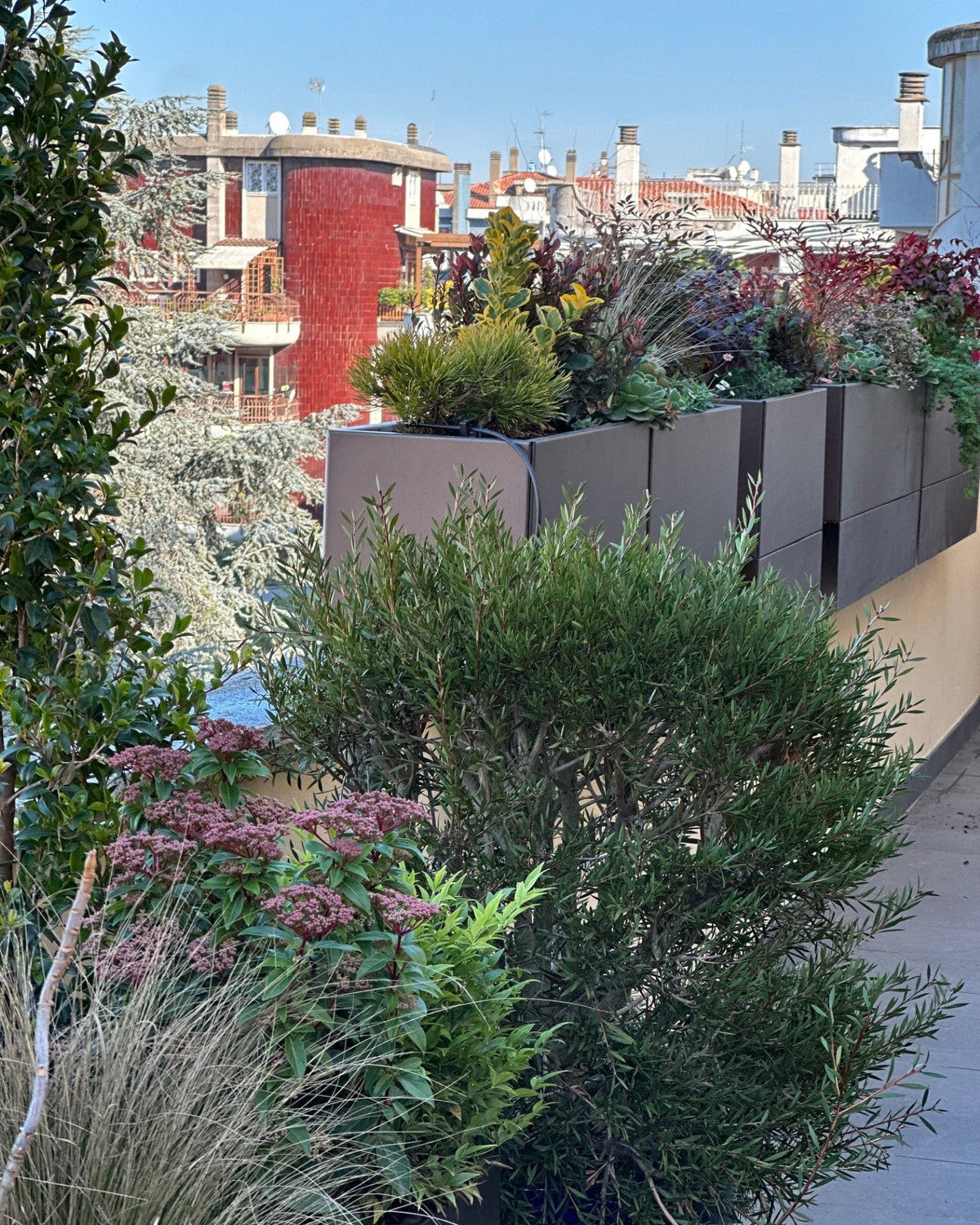 Terrazza Leoncavallo con skyline Roma, piante perenni e vasi corten design minimal AbitoVerde
