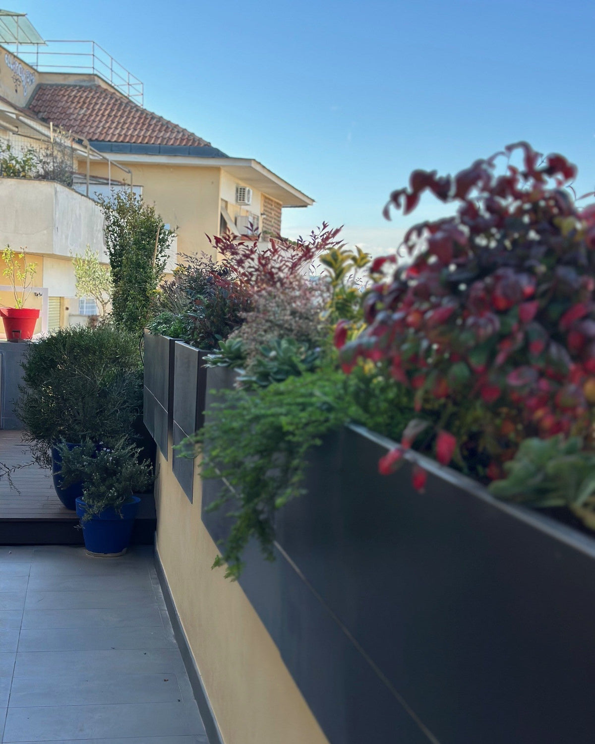 Composizione piante rosse e arbusti in vasi corten terrazza Leoncavallo, stile contemporaneo