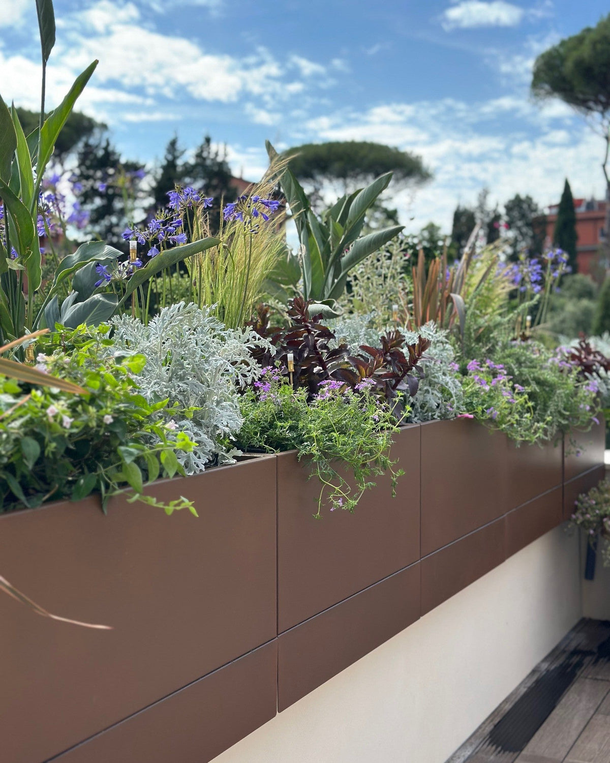 Vasi corten terrazza Novella con piante fiorite graminacee e vista panoramica Roma, AbitoVerde