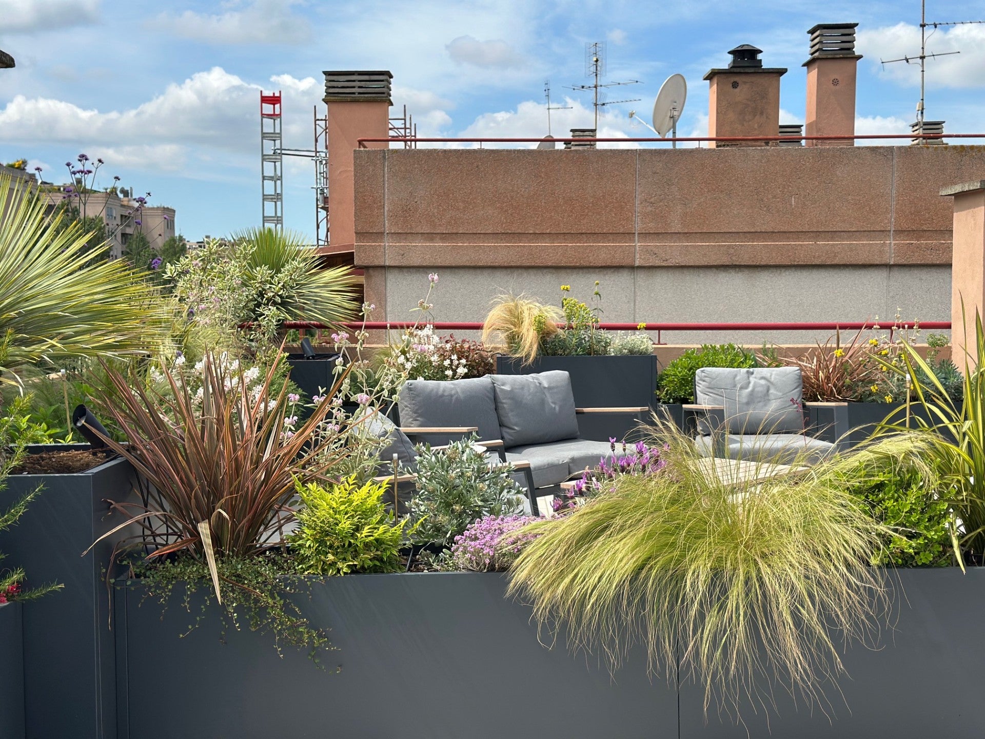 Panoramica terrazza Torrino con skyline Roma, graminacee e vasi lineari AbitoVerde