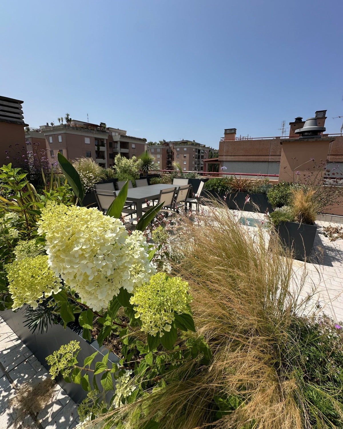 Ortensie bianche e graminacee terrazza Torrino contro edifici rossi AbitoVerde