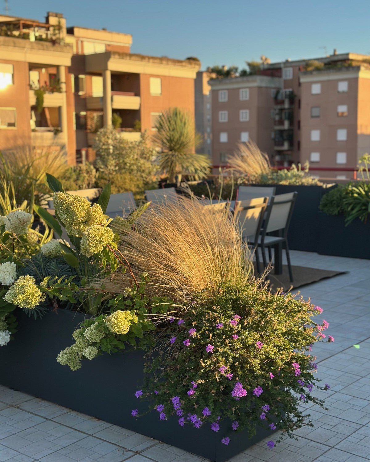 Panoramica terrazza Torrino con skyline Roma, graminacee e vasi lineari AbitoVerde