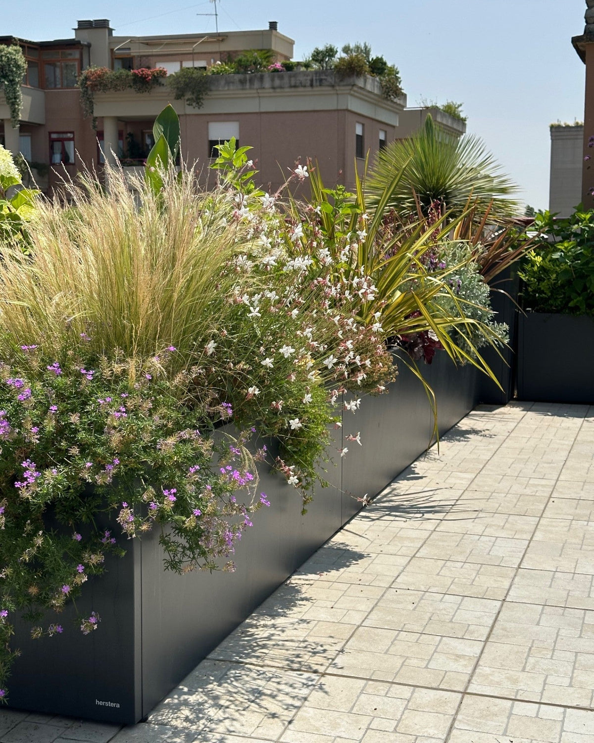 Vasi neri terrazza Torrino con graminacee bianche e piante perenni viola AbitoVerde