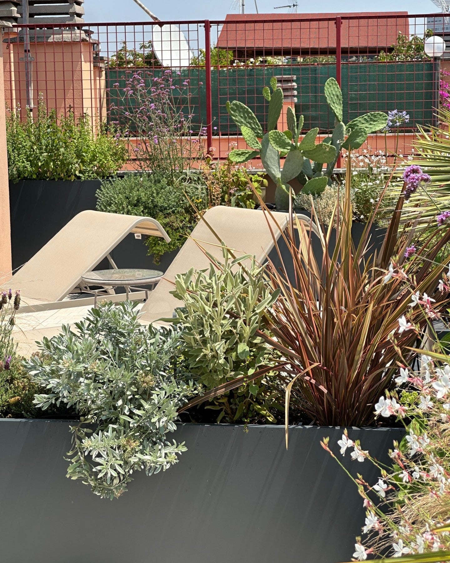 Zona relax terrazza Torrino con lettini, skyline Roma e piante alte AbitoVerde