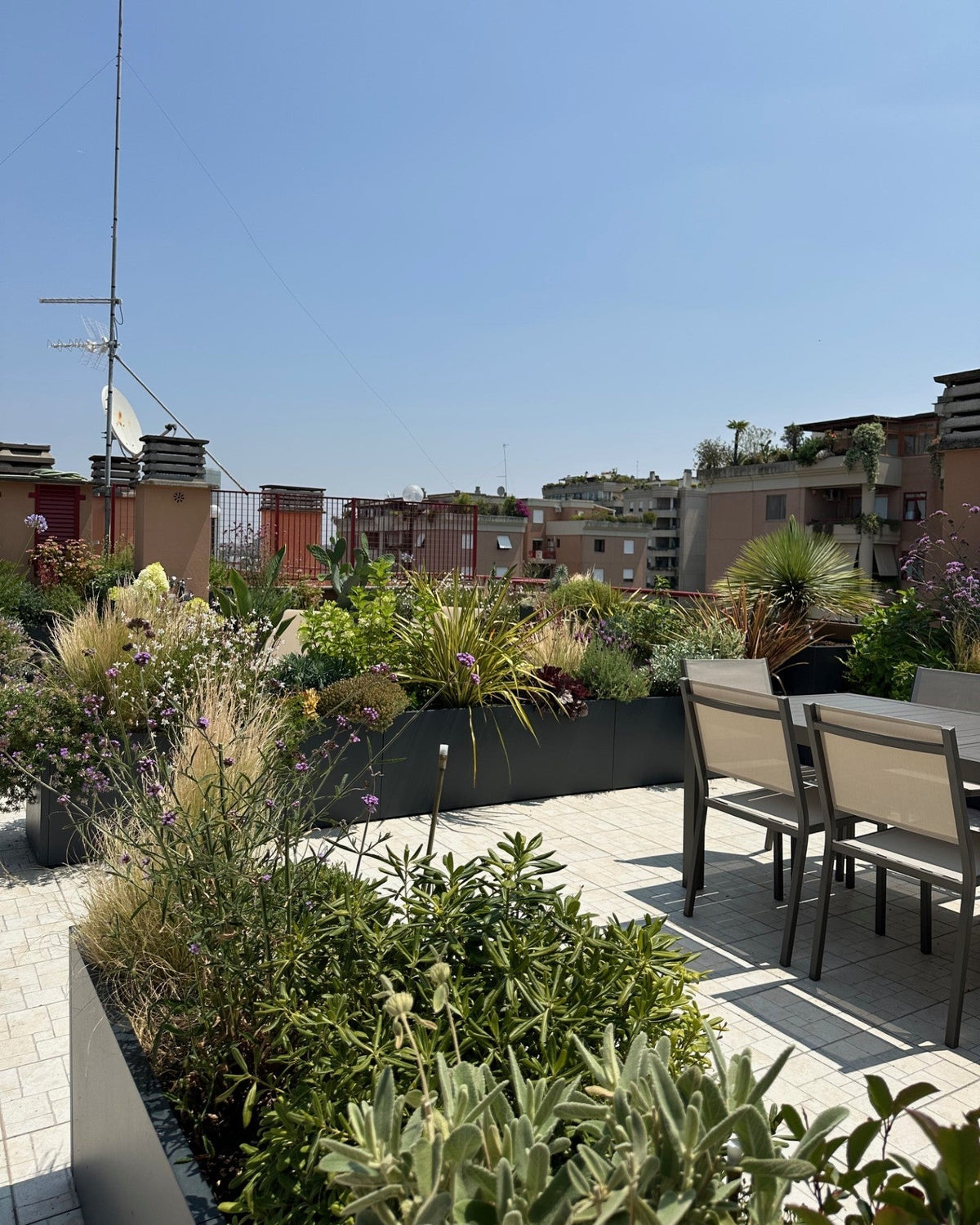 Panoramica terrazza Torrino con skyline Roma, graminacee e vasi lineari AbitoVerde