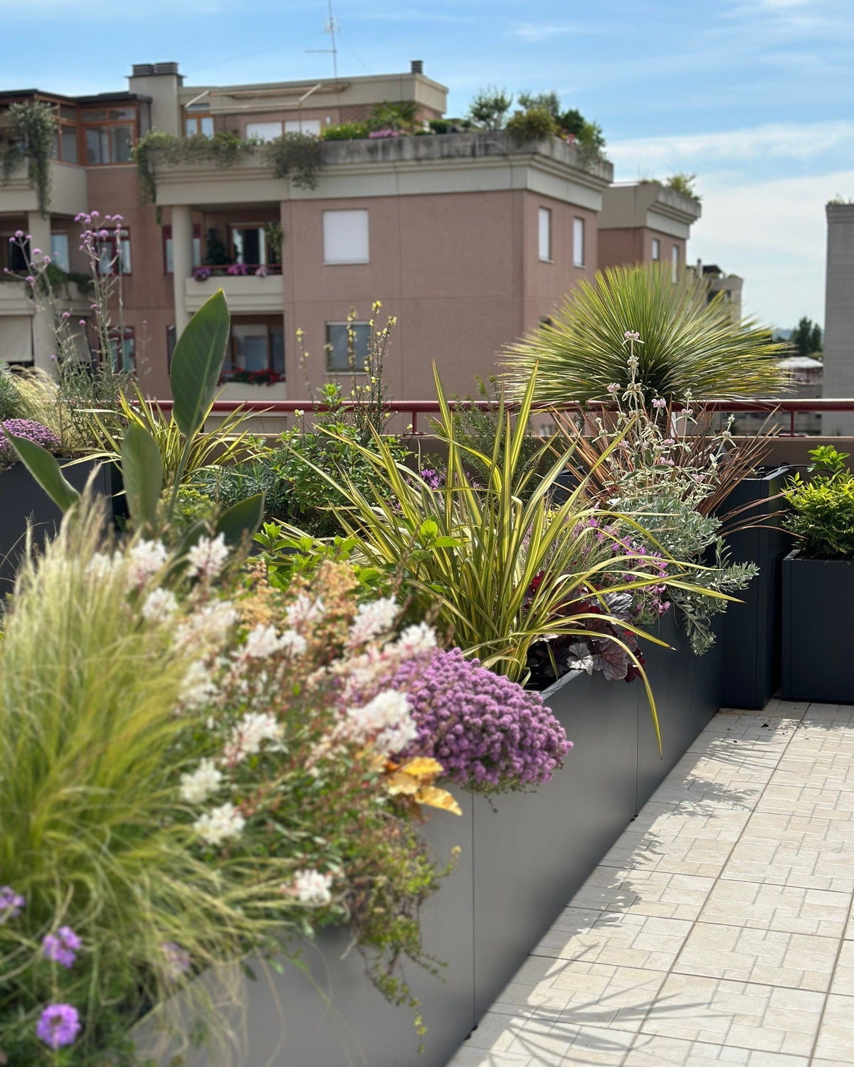 Piante viola e fucsia in vasi neri terrazza Torrino design moderno AbitoVerde